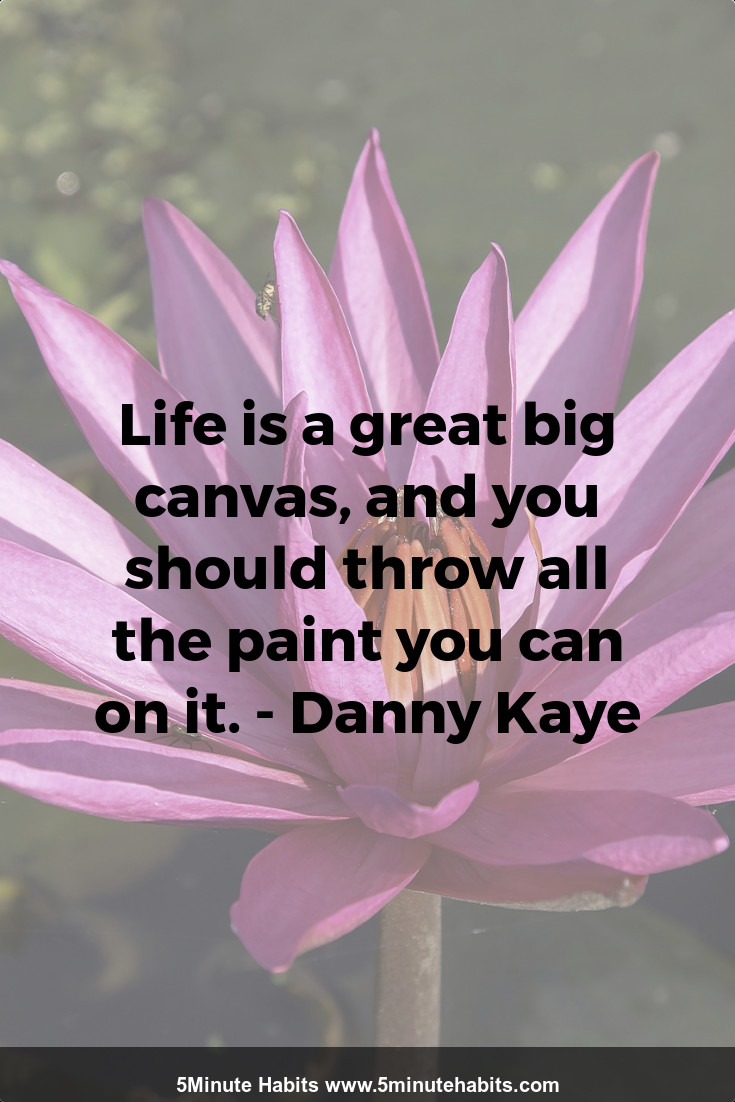 Life is a great big canvas, and you should throw all the paint you can on it. - Danny Kaye